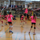 Finale Volleyball 8b.jpg
