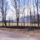 IMG_5498.JPG