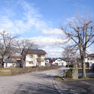 IMG_5522.JPG