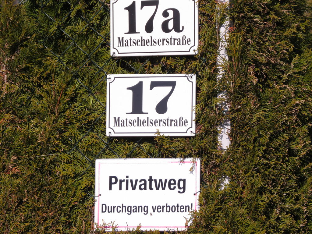 IMG_5527.JPG