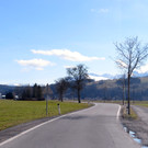 IMG_5544.JPG