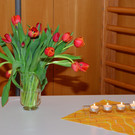 MC 190317_17.JPG