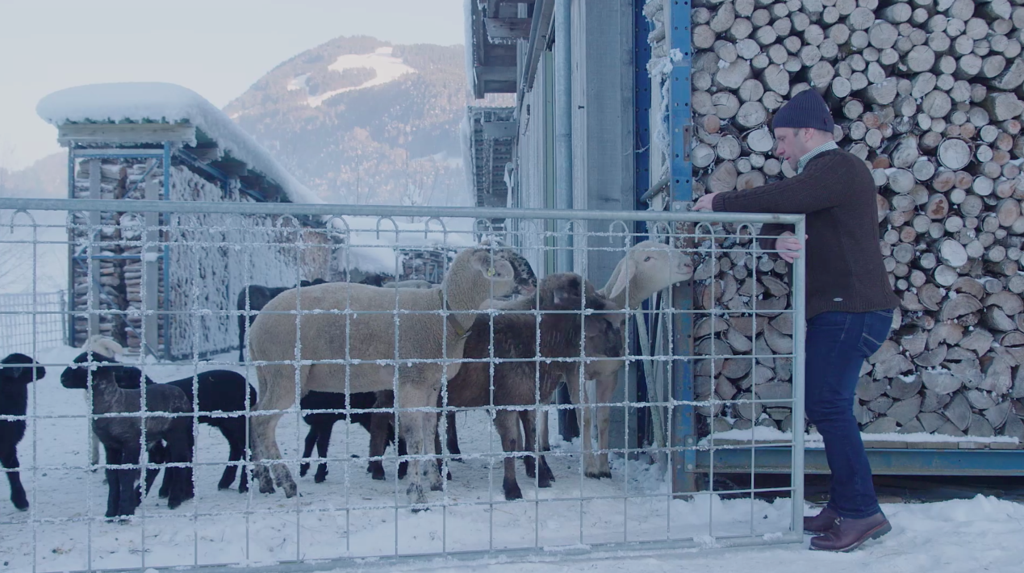 Kaspar_Greber_Film_Bildausschnitt_03.png