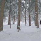 Kaspar_Greber_Film_Bildausschnitt_04.png