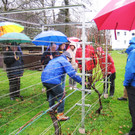 Rebenschnittkurs OGV Altenstadt