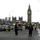 Britain_Parliament_Incident_46009.jpg