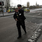 Britain_Parliament_Incident_10755.jpg