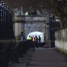 Britain_Parliament_Incident_24603.jpg