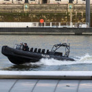 AFP_MW59W.jpg