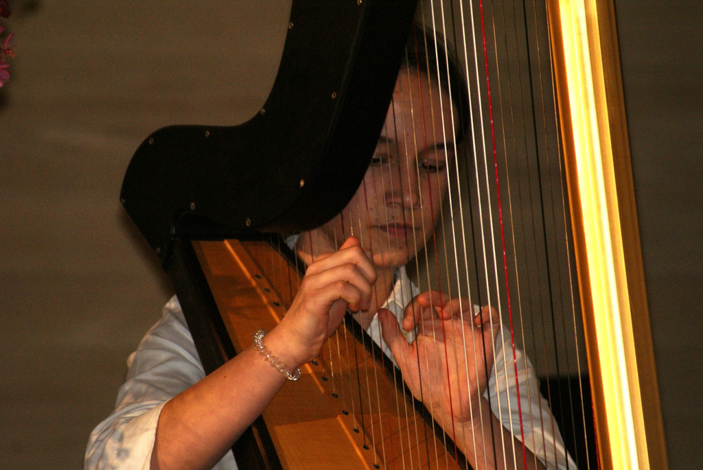 DSC00342.JPG