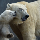 AFP_MX2TE.jpg
