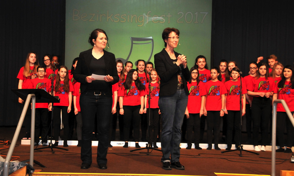 Bezirkssingfest_2017_015 _1_.jpg