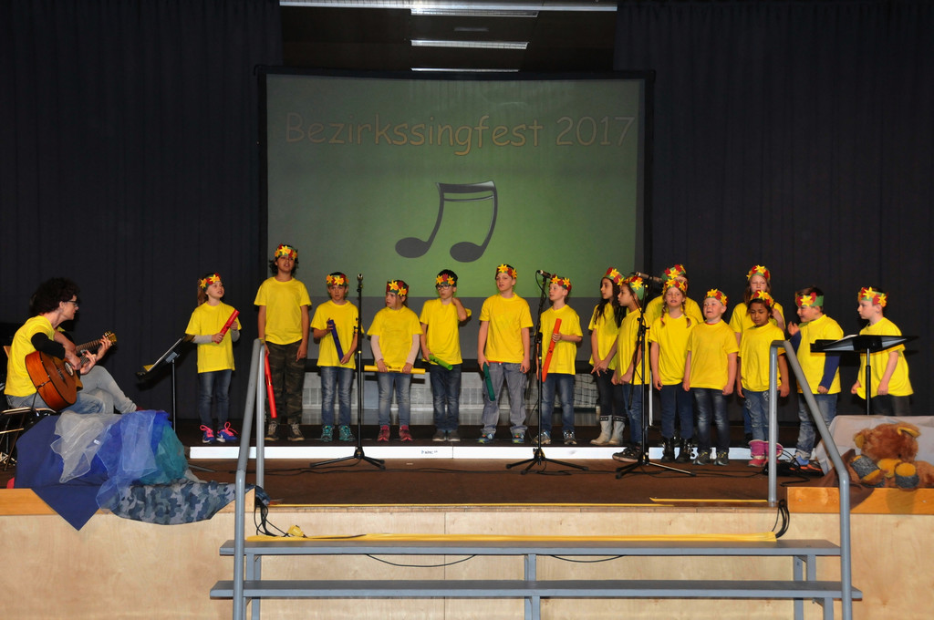 Bezirkssingfest_2017_056 _1_.jpg