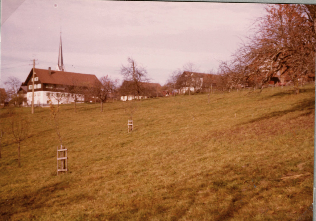 2_fraxern vor bau L69_8-11-1972.jpg