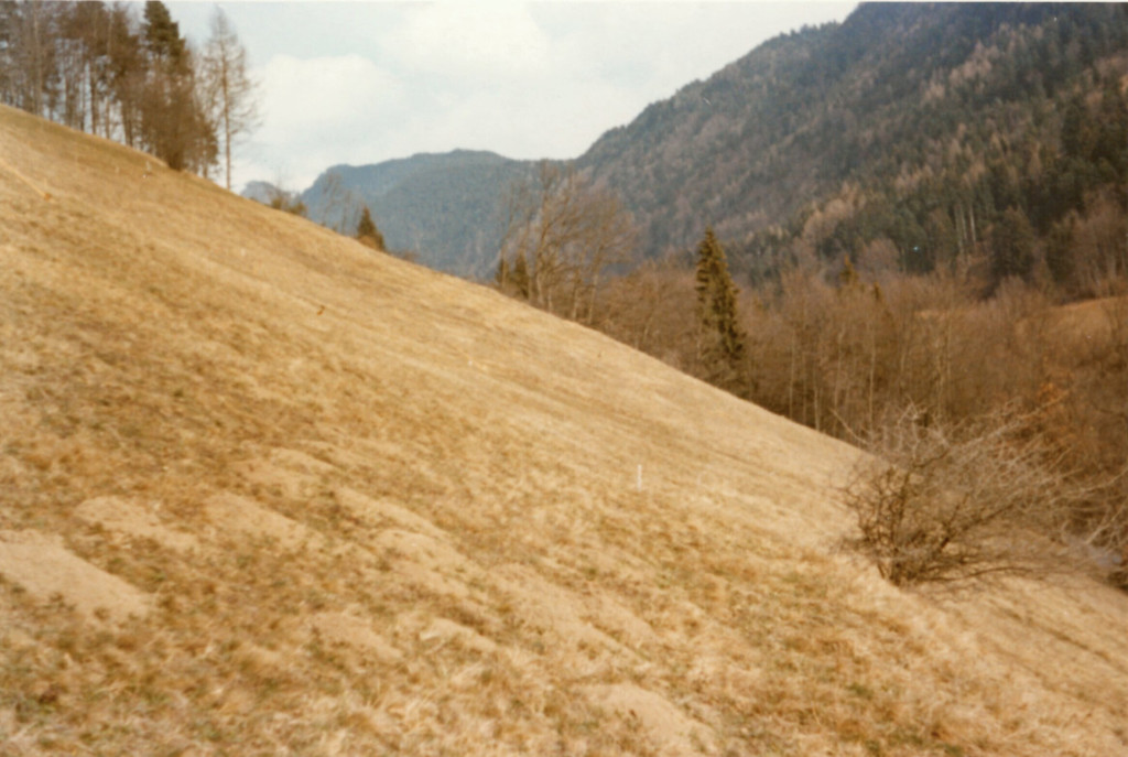 6_fraxern vor bau L69_3-3-1972.jpg
