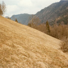 6_fraxern vor bau L69_3-3-1972.jpg
