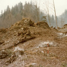 11_fraxern vor L69_29-2-1972.jpg