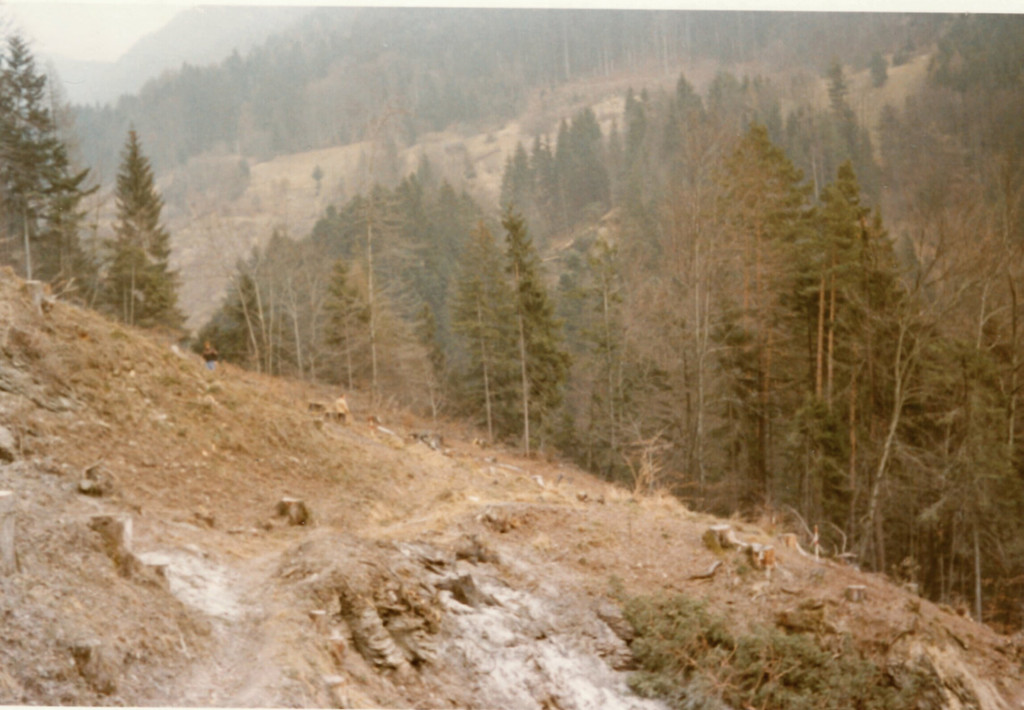 12_fraxern vor L69_29-2-1972.jpg