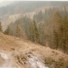12_fraxern vor L69_29-2-1972.jpg