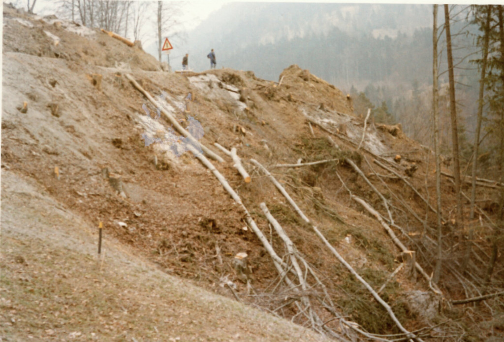 13_fraxern vor L69_29-2-1972.jpg