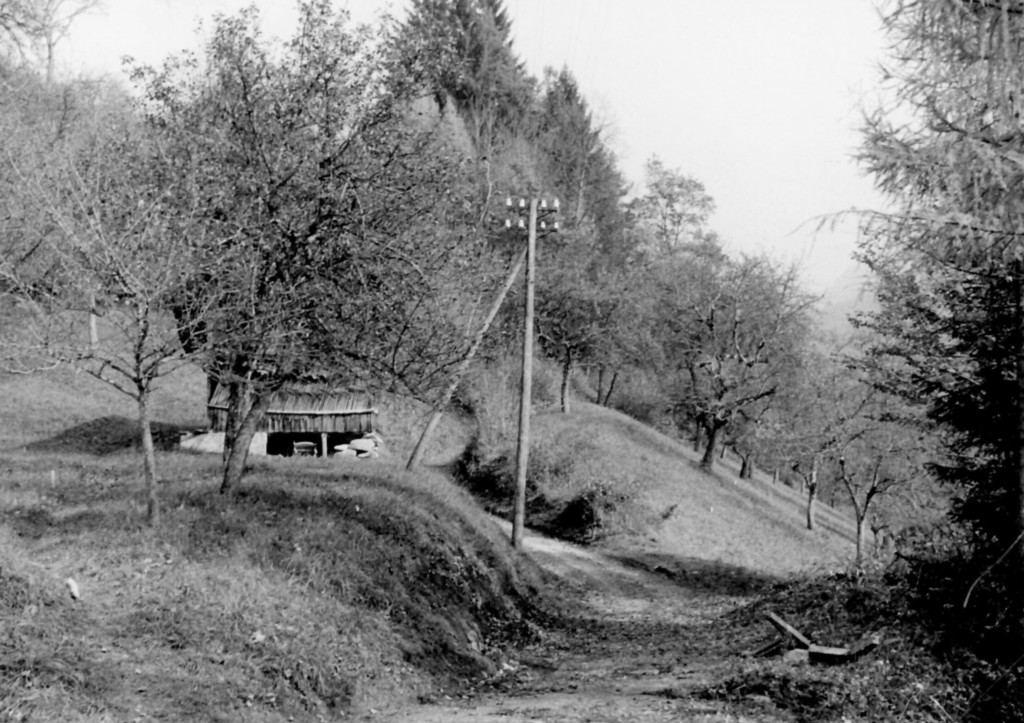 Weiler_Halden_vor bau_ km 0_6_.jpg