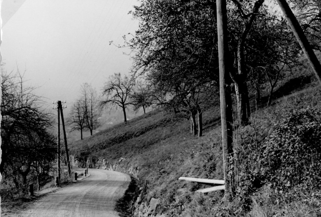 weiler-halden_alte stra__e bei km 1_05.jpg