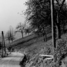 weiler-halden_alte stra__e bei km 1_05.jpg