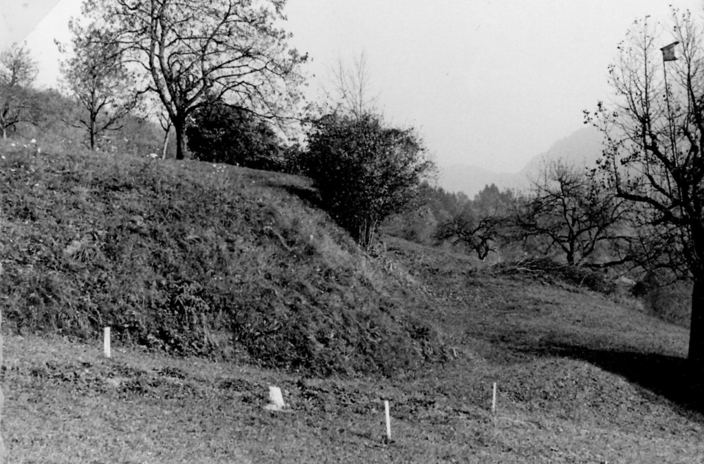 weiler-halden_trasse des fr__heren fraxern-weges_neue trasse km 1_25.jpg