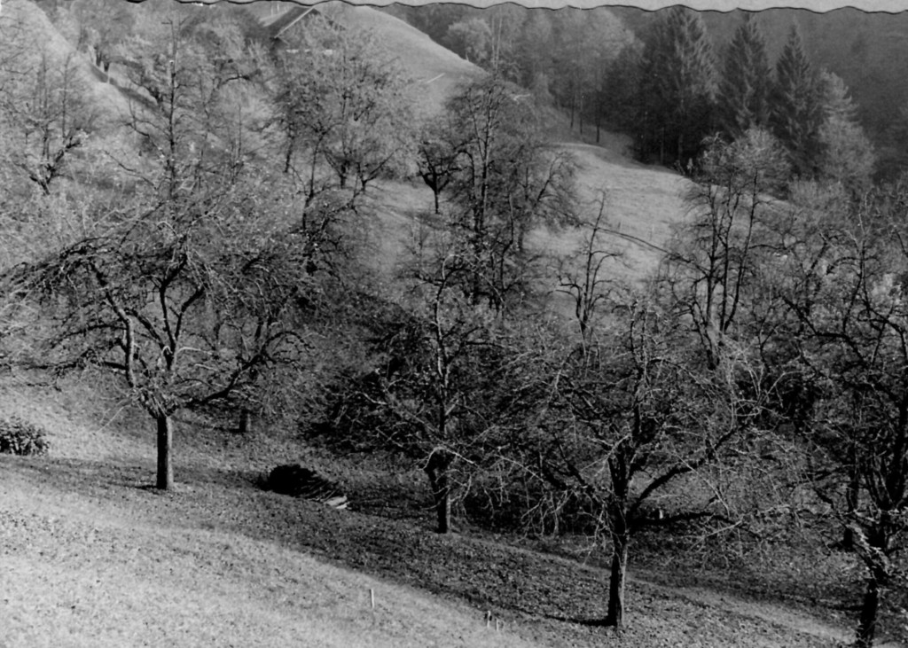 weiler-halden_vor Ausbau_Kehre 1_ km_0_8-0_9.jpg