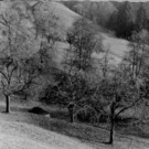 weiler-halden_vor Ausbau_Kehre 1_ km_0_8-0_9.jpg