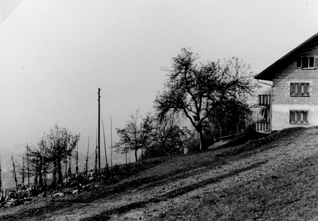 weiler-halden-gel__nde f__r neue l69 kehre2 bei km1_15_haus kathan.jpg