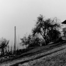 weiler-halden-gel__nde f__r neue l69 kehre2 bei km1_15_haus kathan.jpg