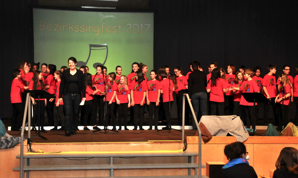 Bezirkssingfest_2017_017.jpg