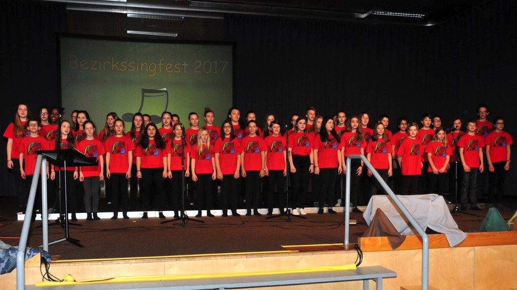 Bezirkssingfest_2017_020.jpg