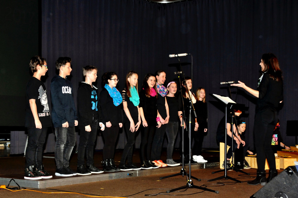 Bezirkssingfest_2017_034.jpg