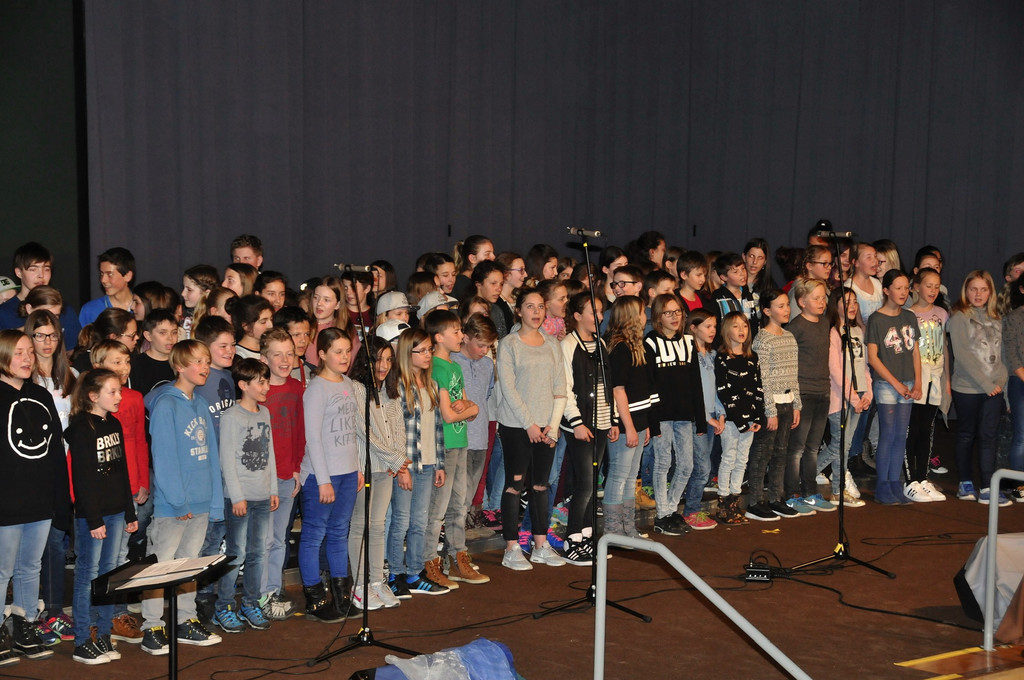Bezirkssingfest_2017_044.jpg