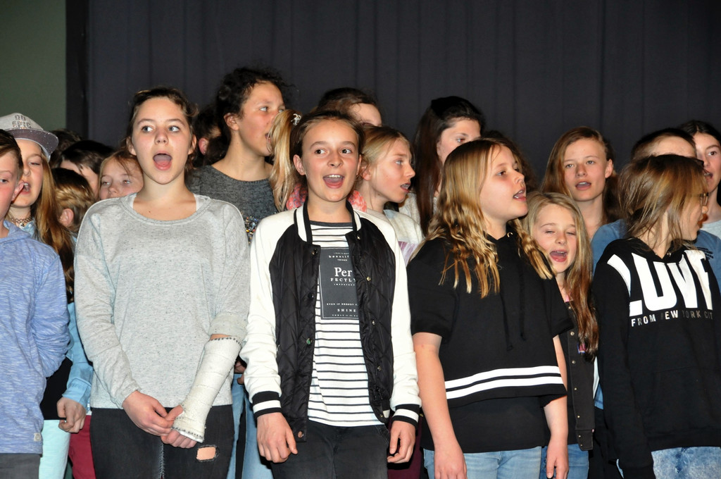 Bezirkssingfest_2017_046.jpg