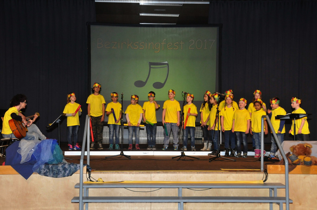 Bezirkssingfest_2017_056.jpg