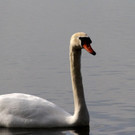 IMG_2804.JPG