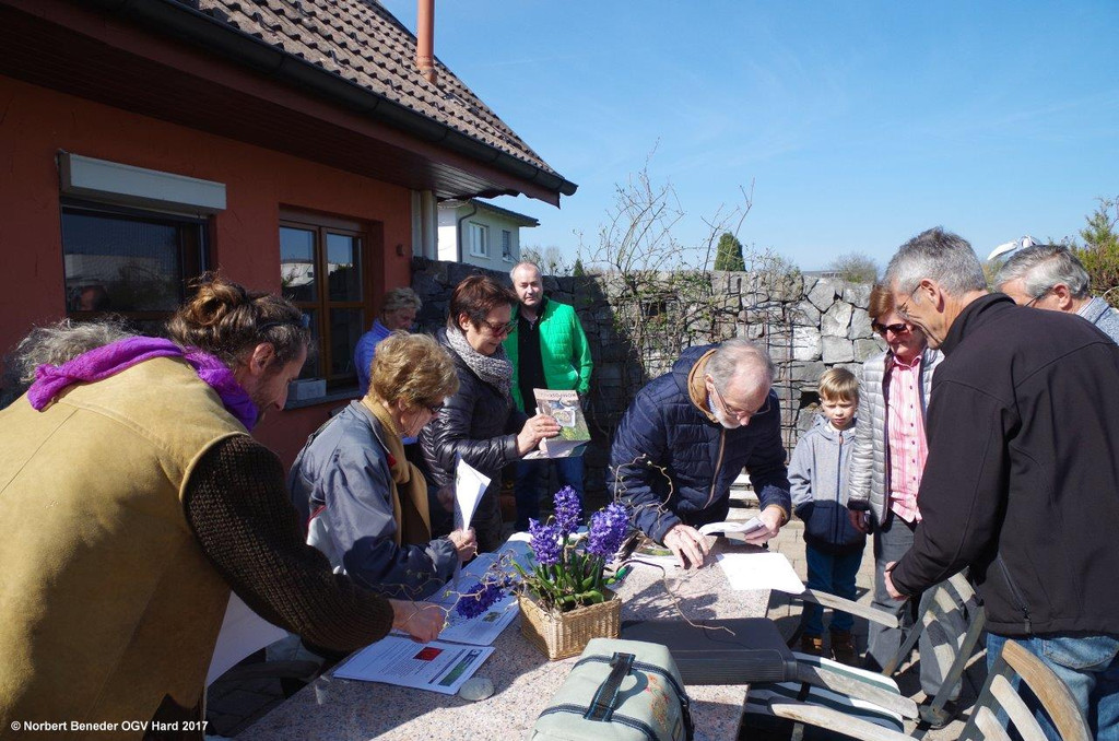 Rosenschnittkurs1_2017_004.jpg