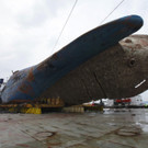 Sewol _17_.jpg