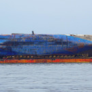 Sewol _18_.jpg