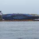 Sewol _33_.jpg