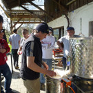 P1070177.JPG