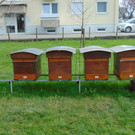 DSC03833.JPG
