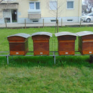 Lustenauer Imker starten in die neue Saison 