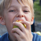 Pflanzaktion Lutz März 2017