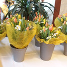 JHV Seniorenbund 17_03_2017 _101_.JPG