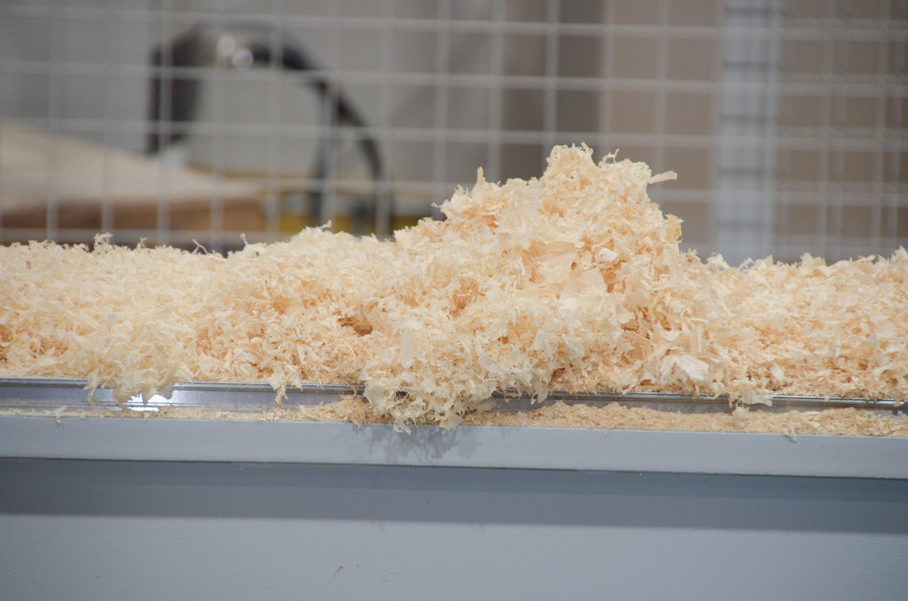 DSC_0150.jpg