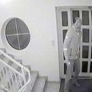 Firmeneinbruch Hollabrunn